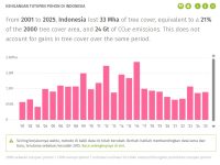 Dari Hutan Kerajaan ke Lumbung Pangan: Jejak Deforestasi Indonesia