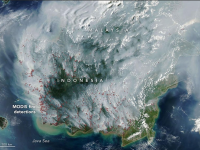 Potret Terbaru Kalimantan dari Satelit NASA, Karhutla Kian Mengkhawatirkan