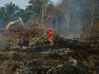 Menghadapi Puncak Kemarau di Kalimantan: Dari Intervensi Cuaca hingga Sanksi Tegas Polri